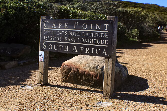 Table Mountain, Chapmans Peak Drive, Cape Point & Penguins - Cape Point and Cape of Good Hope National Reserve: Birds, Baboons, and the Cape Tip