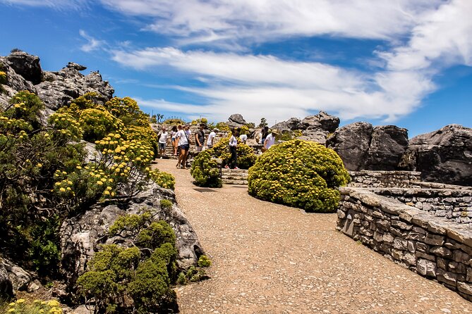Table Mountain, Chapmans Peak Drive, Cape Point & Penguins - Weather, Timing, and Why Your Guide’s Style Matters