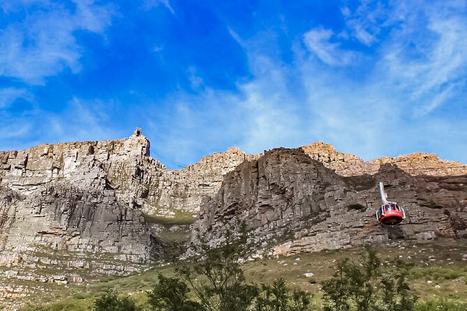 Table Mountain, Chapmans Peak Drive, Cape Point & Penguins - Table Mountain by Funicular: Choosing Dassie, Agama, or Klipspringer Walks