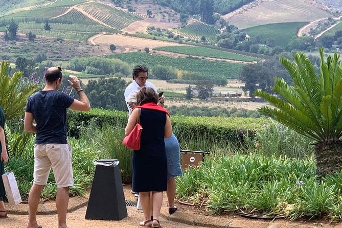 Table Mountain & Constantia Wine Tasting Full Day Tour. - Groot Constantia: one of South Africa’s oldest wine-producing farms