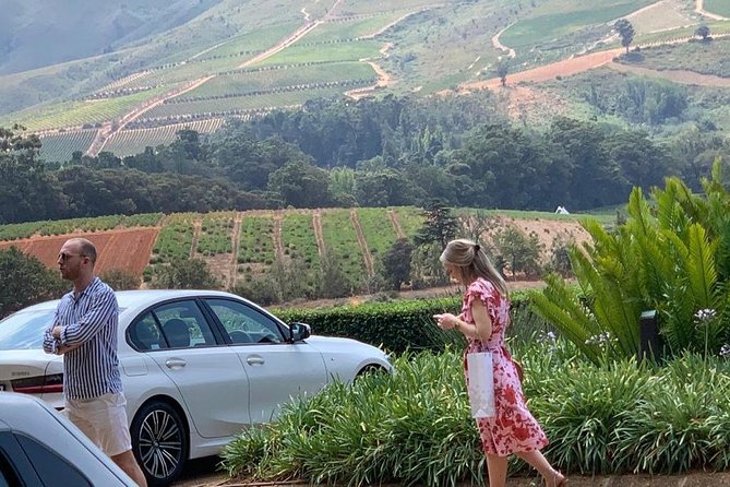 Table Mountain & Constantia Wine Tasting Full Day Tour. - Klein Constantia: foothills views, decomposed granite slopes, and more whites