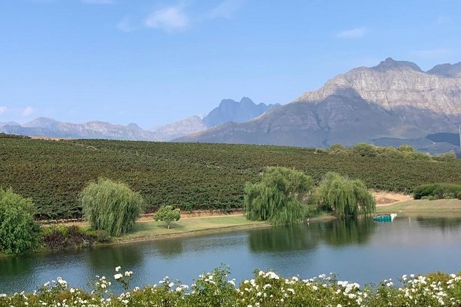 Table Mountain & Constantia Wine Tasting Full Day Tour. - Price and value: what you’re actually paying for