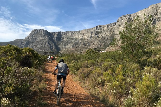 Table Mountain Cycling Experience - Constantia Neck Start: Settle In and Get Moving Early