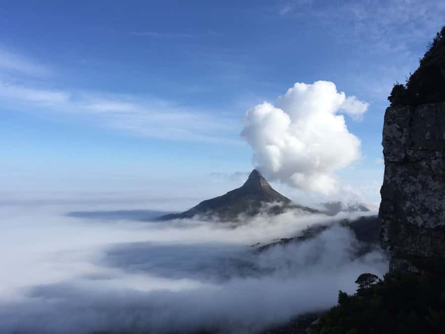 Table Mountain: Easy walk for the Whole Family - PRIVATE - Key Things I’d Focus On