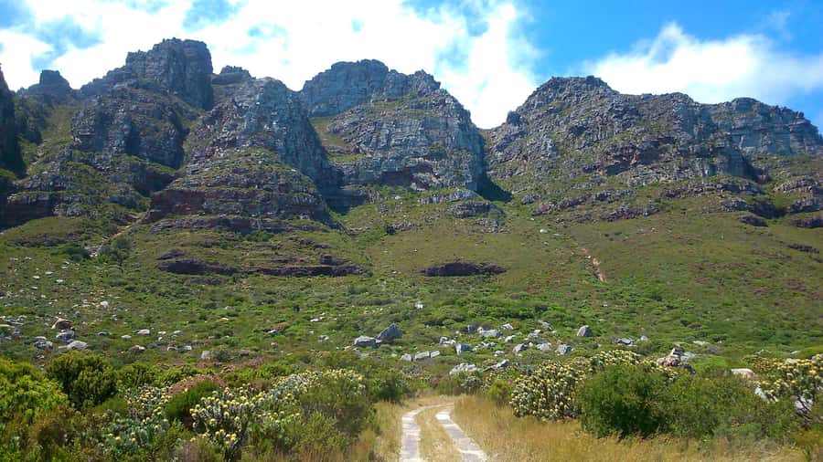 Table Mountain: Easy walk for the Whole Family - PRIVATE - A Family-Friendly Table Mountain Walk With Real Panoramas