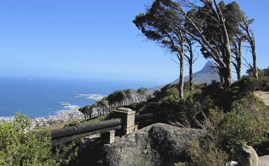 Table Mountain: Easy walk for the Whole Family - PRIVATE - Walking the Camps Bay Pipe Track: Old Water Pipe, Modern Views