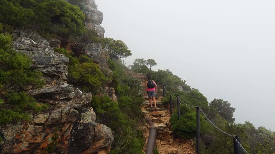 Table Mountain: Easy walk for the Whole Family - PRIVATE - What to Bring So the Walk Feels Comfortable