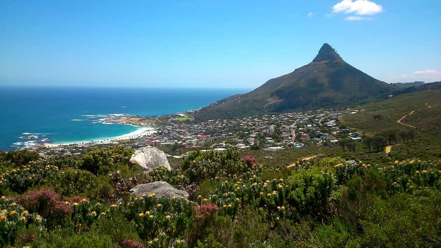 Table Mountain: Easy walk for the Whole Family - PRIVATE - Starting at Kloof Nek: Where the Views Start Fast