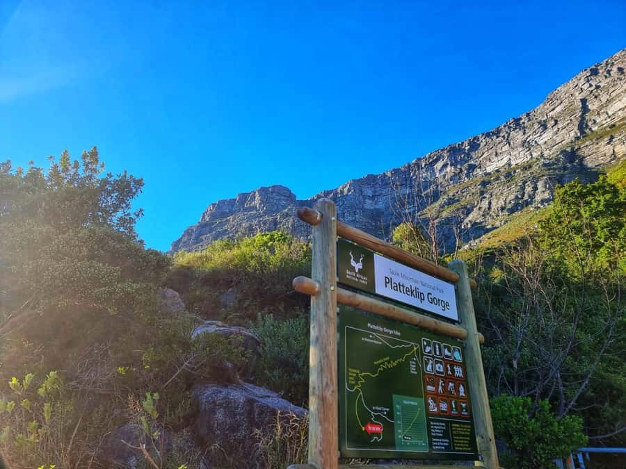 Table Mountain Group Hike - Solo Travelers welcome - Key things to know before you hike Platteklip Gorge