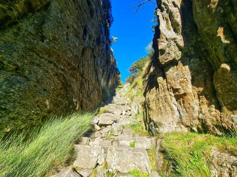 Table Mountain Group Hike - Solo Travelers welcome - Why Platteklip Gorge is the fast track to big views