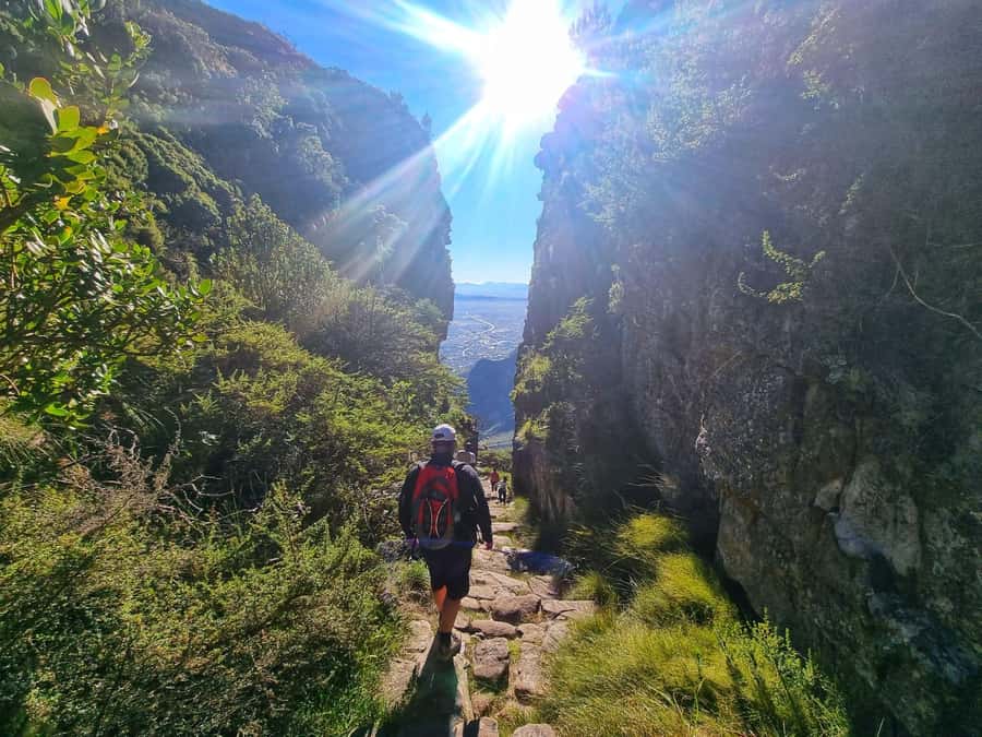 Table Mountain Group Hike - Solo Travelers welcome - The 2.5-hour climb: what Platteklip Gorge feels like in real time