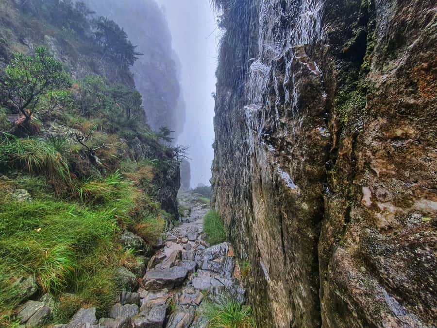 Table Mountain Group Hike - Solo Travelers welcome - The return cable car ticket: what it means for your budget