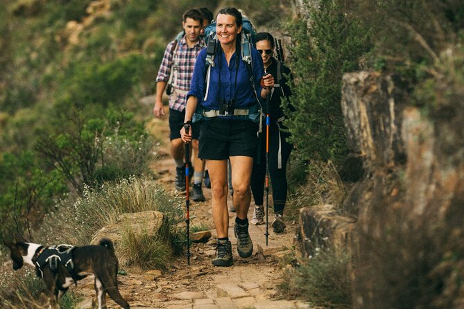 Table Mountain Guided Hike-epic adventure for all fitness levels - Coffee on the Climb: The Snack Stop That Keeps You Smiling