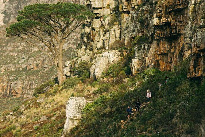 Table Mountain Guided Hike-epic adventure for all fitness levels - Trail Examples You Might Get: Kasteelspoort, Diagonals, and Pipe Track
