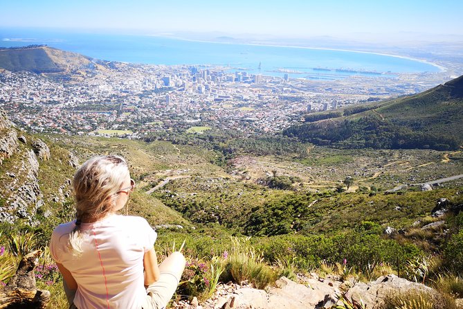 Table Mountain Half Day Hike: Platteklip Gorge - Who This Tour Fits Best (and Who Might Want Another Option)
