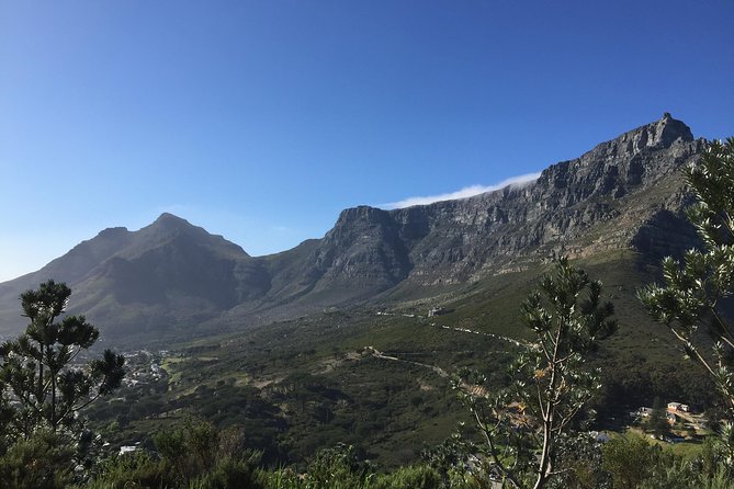 Table Mountain Hike (All routes) - Private Tour - Picking the Right Climb: Kasteelpoort, Skeleton Gorge, India Venster, Platteklip Gorge