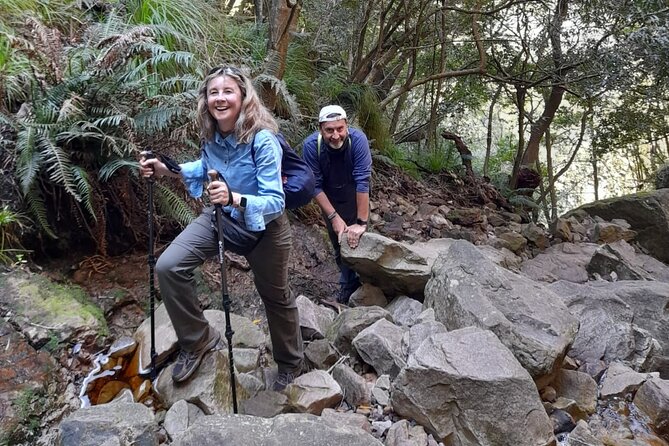Table Mountain Hike (All routes) - Private Tour - India Venster and Platteklip Gorge: Choose Steepness and Comfort Level