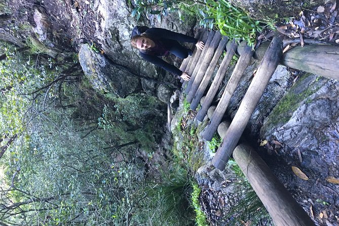 Table Mountain Hike (All routes) - Private Tour - Picnic Lunch and Snacks: Small Detail, Big Comfort on a 6-Hour Day