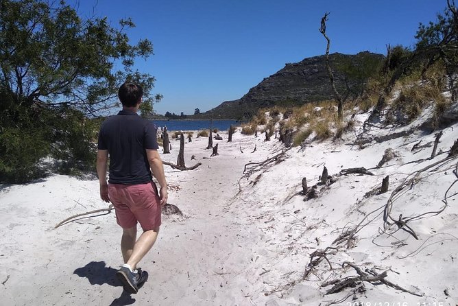 Table Mountain Hike (All routes) - Private Tour - Weather on Table Mountain: Expect Wind, and Be Ready to Adjust