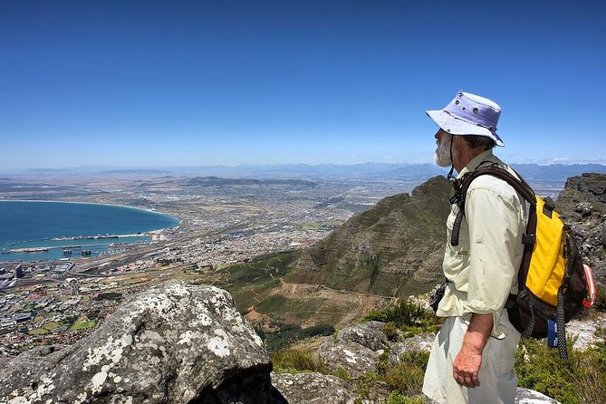 Table Mountain Hike from Cape Town - Reaching the tabletop: ridge views, flora time, and the reality check of wind