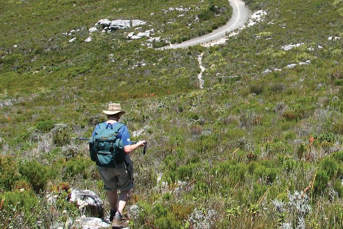 Table Mountain Hike from Cape Town - From the base to the geology briefing, this is where the hike starts to make sense
