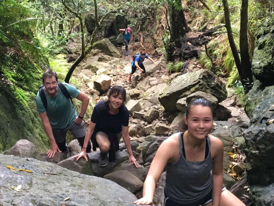 Table Mountain Hike with Local Tour Guide - Safety, Heights, and the Cable Car Twist If Weather Hits