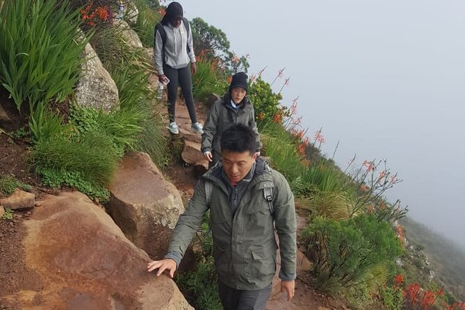 Table Mountain Hiking - Cable car descents: how they affect your whole plan