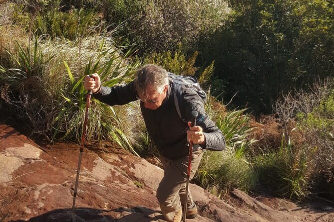 Table Mountain Hiking - Fitness reality check: moderate is not the same as easy