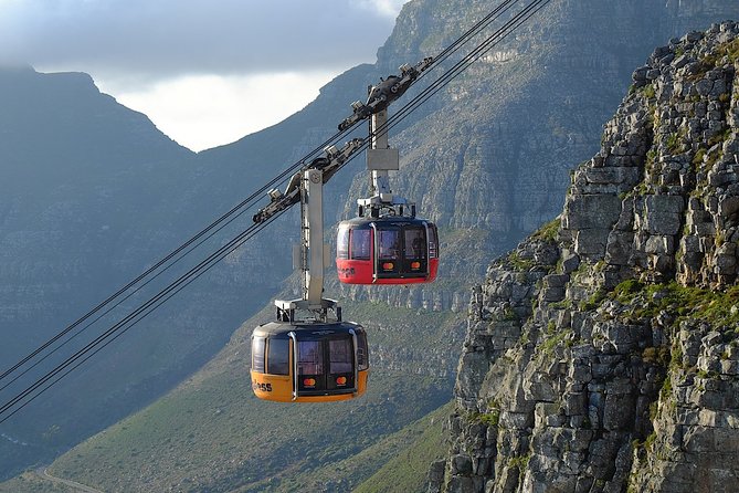 Table Mountain, Kirstenbosch and Constantia Winelands Full Day Private Tour - Price and value: where this tour delivers, and what can feel pricey