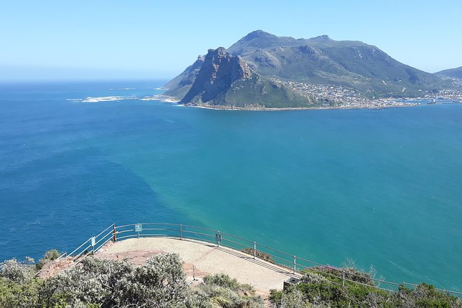 Table Mountain, penguin and Cape of good hope Fees included - Price and Value: What You Actually Get for $146