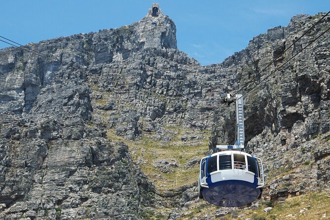 Table Mountain, Penguin,Cape Point Private Day Tour in Cape Town - Key highlights to look for