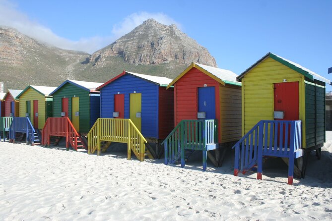 Table Mountain, Penguin,Cape Point Private Day Tour in Cape Town - Muizenberg as a gentle ending: surfing history and colorful beach huts
