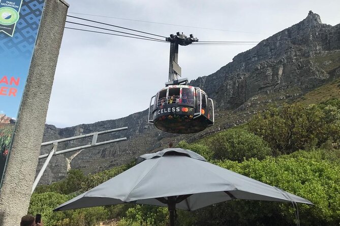 Table Mountain, Penguins and Cape Point Sharing GroupTour - What This Cape Town Tour Feels Like (And Why It Works)