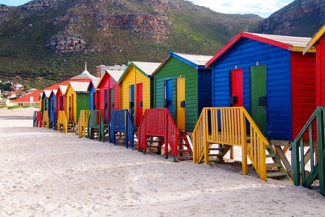 Table Mountain, Penguins and Cape Point Sharing GroupTour - Boulders Beach Penguins: The Wildlife Stop Done Right