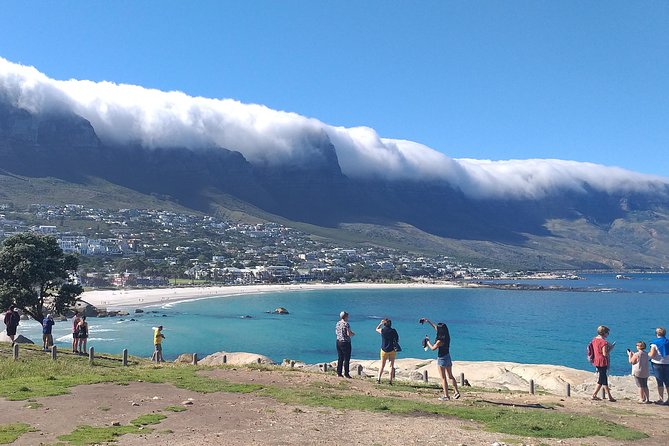 Table Mountain, Penguins, Cape of good hope and Stellenbosch tour - Camps Bay and the Scenic Pace: Beverly Hills Views at Sea Level