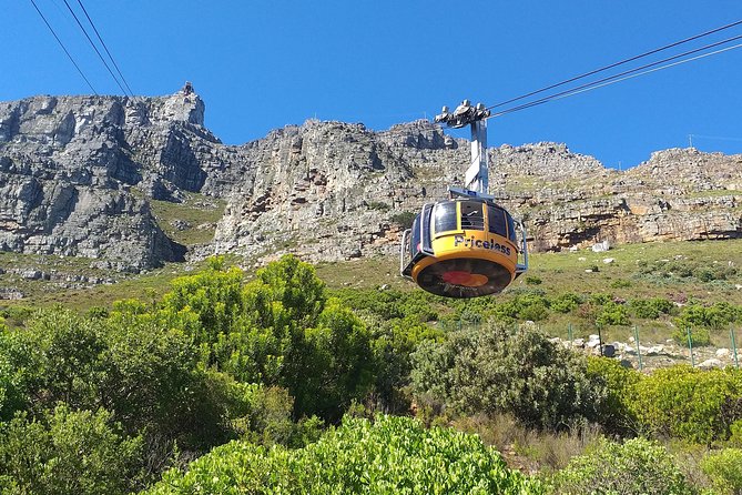 Table Mountain, Penguins, Cape of good hope and Stellenbosch tour - Hout Bay and Chapman’s Peak Drive: Photo Stops With Lots of Curves
