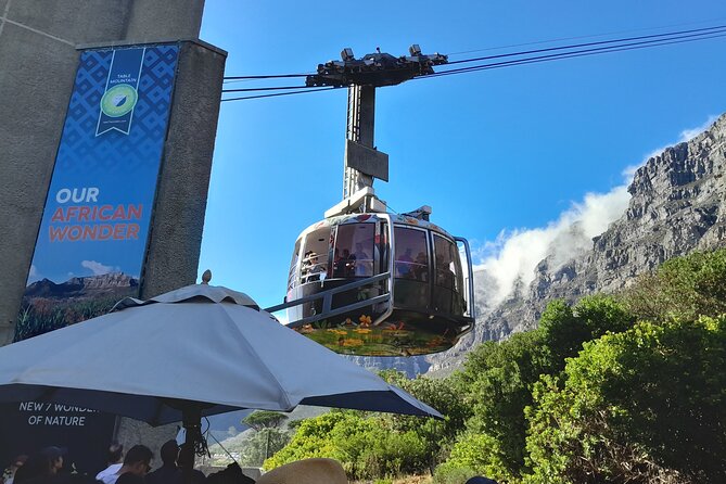 Table Mountain, Penguins, Cape of Good Hope: Private Tour - Key highlights you should know
