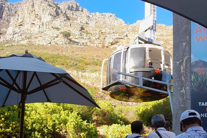 Table Mountain, Penguins, Cape of Good Hope: Private Tour - Cape of Good Hope plus Cape Point: two famous viewpoints, tight timing
