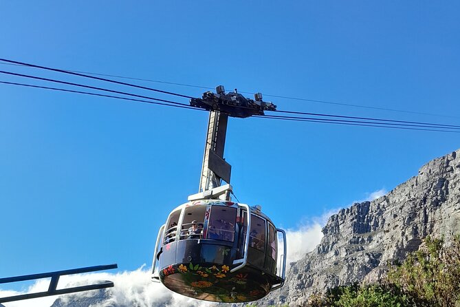 Table Mountain, Penguins, Cape of Good Hope: Private Tour - Boulders Beach Penguin Colony: your best close-up moment