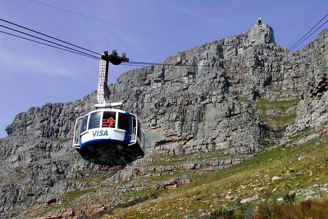 Table Mountain, Penguins & Cape of Good Hope Small Group Top Tour from Cape Town - A packed Cape Peninsula day, without the big-bus hassle
