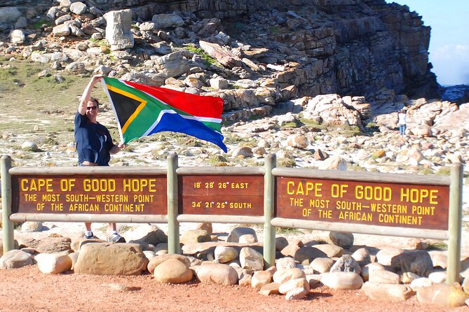 Table Mountain, Penguins & Cape of Good Hope Small Group Top Tour from Cape Town - Boulders Beach penguins: the closest you get to real Africa wildlife on this route