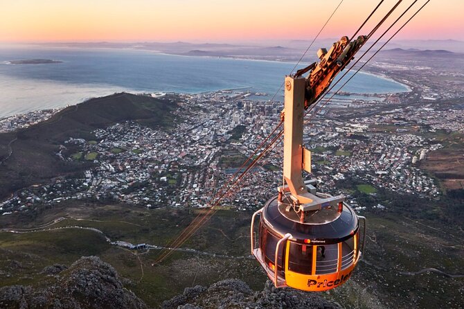 Table Mountain, Penguins & Cape of Good Hope Small Group Tour - Key things I’d bank on before you book
