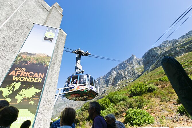 Table Mountain, Penguins & Cape Point Small Group Tour Cape Town - Table Mountain Cable Car: Big Views With Weather Backup