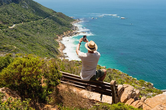 Table Mountain, Penguins Colony and Cape of Good Hope Small Group Shared Tour - Boulders Beach penguins: the best use of your time