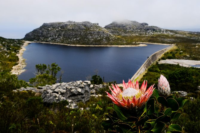 Table Mountain Summit Hike via Kasteelspoort - The Kasteelspoort ascent: a moderately difficult climb with real meaning