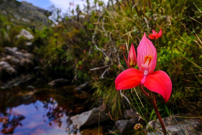 Table Mountain Summit Hike via Kasteelspoort - Timing, weather, and comfort decisions that matter