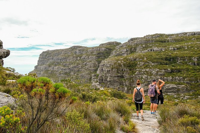 Table Mountain Summit Hike via Kasteelspoort - Should you book the Kasteelspoort summit hike?
