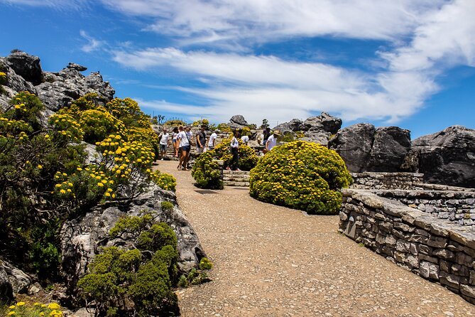 Table Mountain Tour - Getting Up the Mountain Without Losing Your Day to Lines