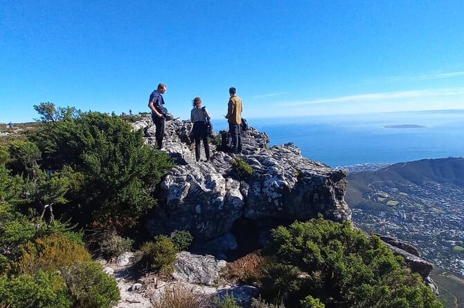 Table Mountain Tour including Pick Up & Drop Off from Cape Town - Table Mountain cableway: quick ride, big payoff