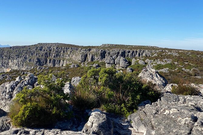 Table Mountain Tour including Pick Up & Drop Off from Cape Town - The guide matters more than you think